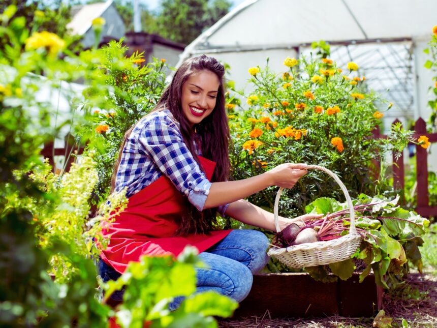 Importance of Gardening vegetable garden