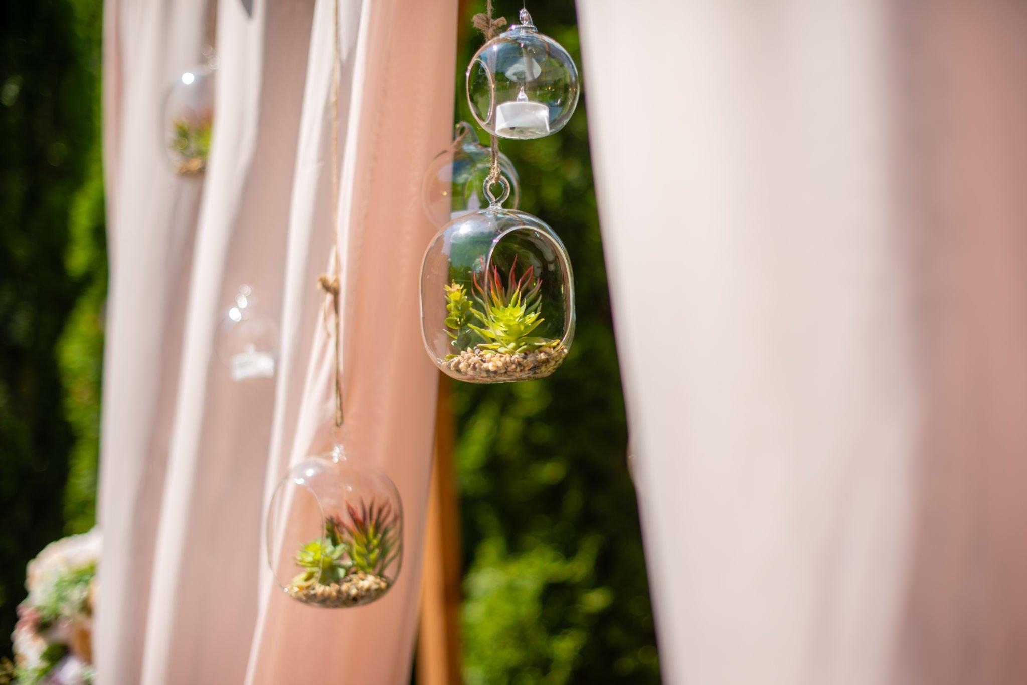 Hanging Terrariums