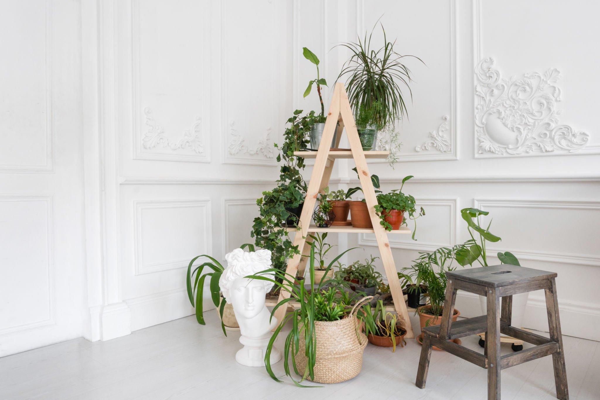 Ladder Planter