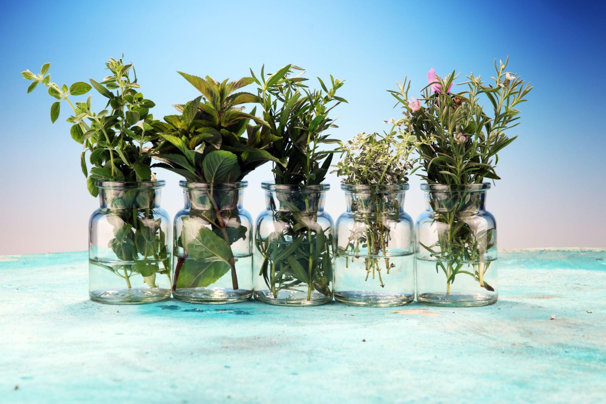 Mason Jar Herb Garden