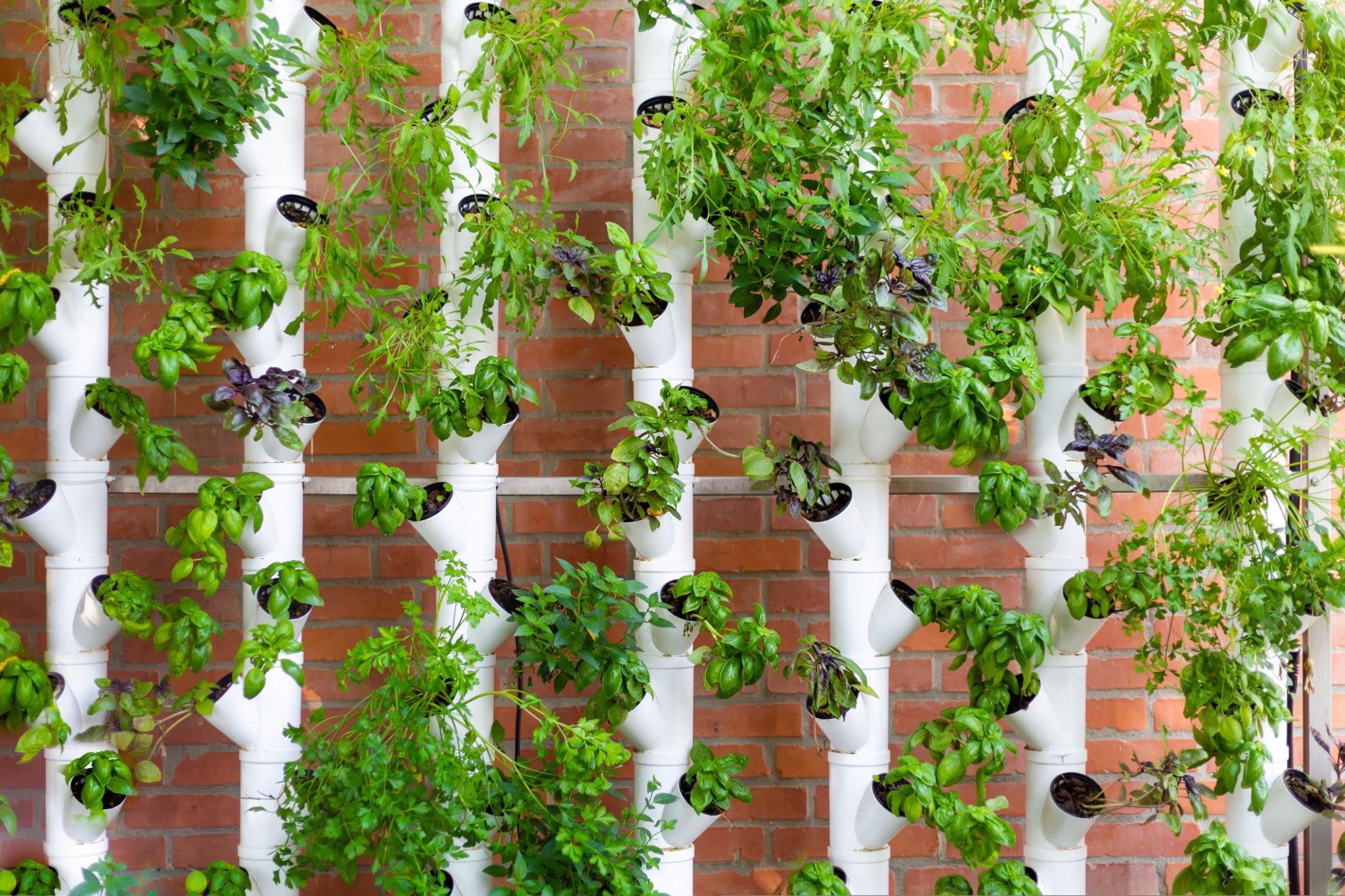 Pipe Vertical Garden