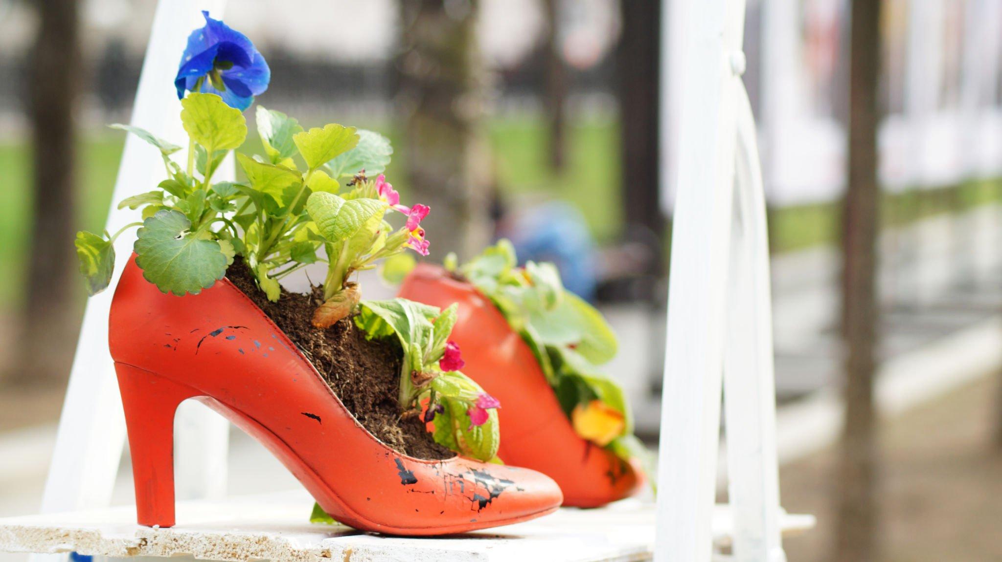 Shoe Organizer Planter