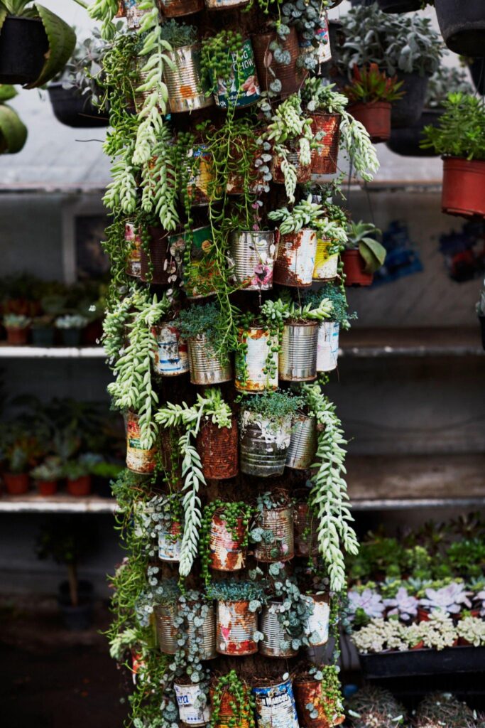 Tin Can Garden