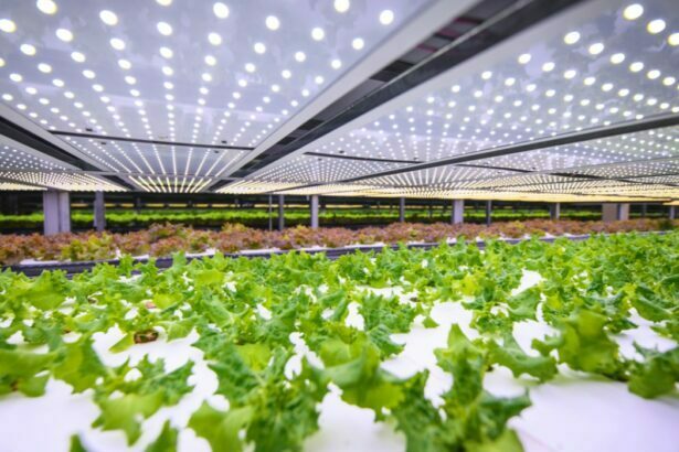 vertical farming future --- Vertical Farming Offers a Path Toward a Sustainable Future(