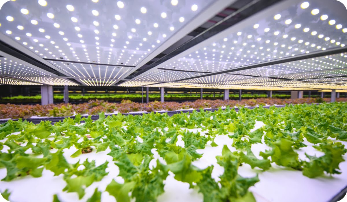vertical farming future --- Vertical Farming Offers a Path Toward a Sustainable Future(