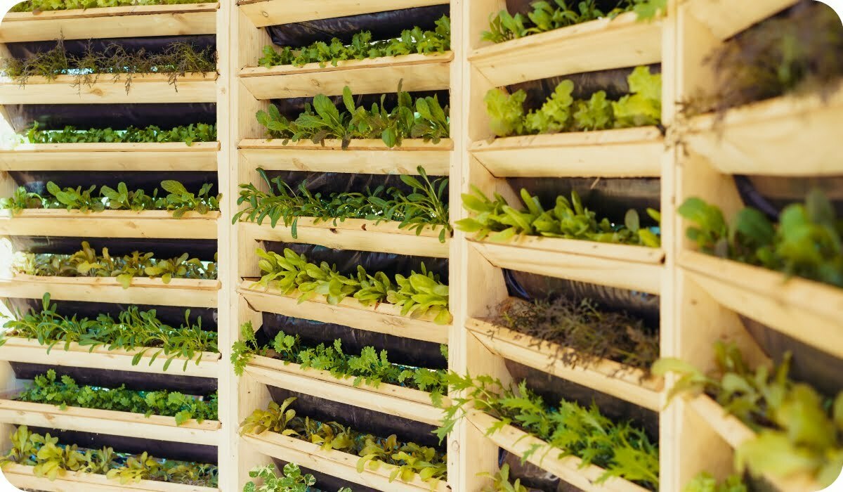 Wooden System of Vertical Urban Farming vertical farming systems