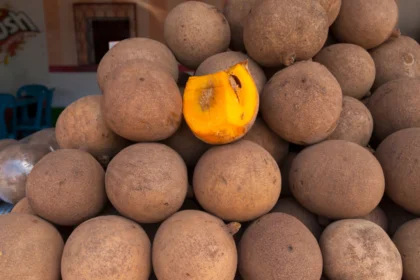 Fruit sale Mamey, Mammea americana L